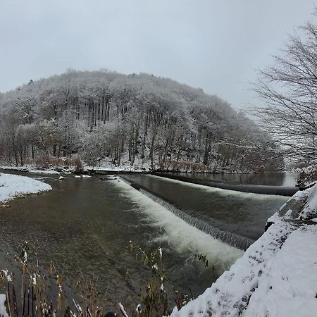 Goscinny Dom Ustron Bagian luar foto