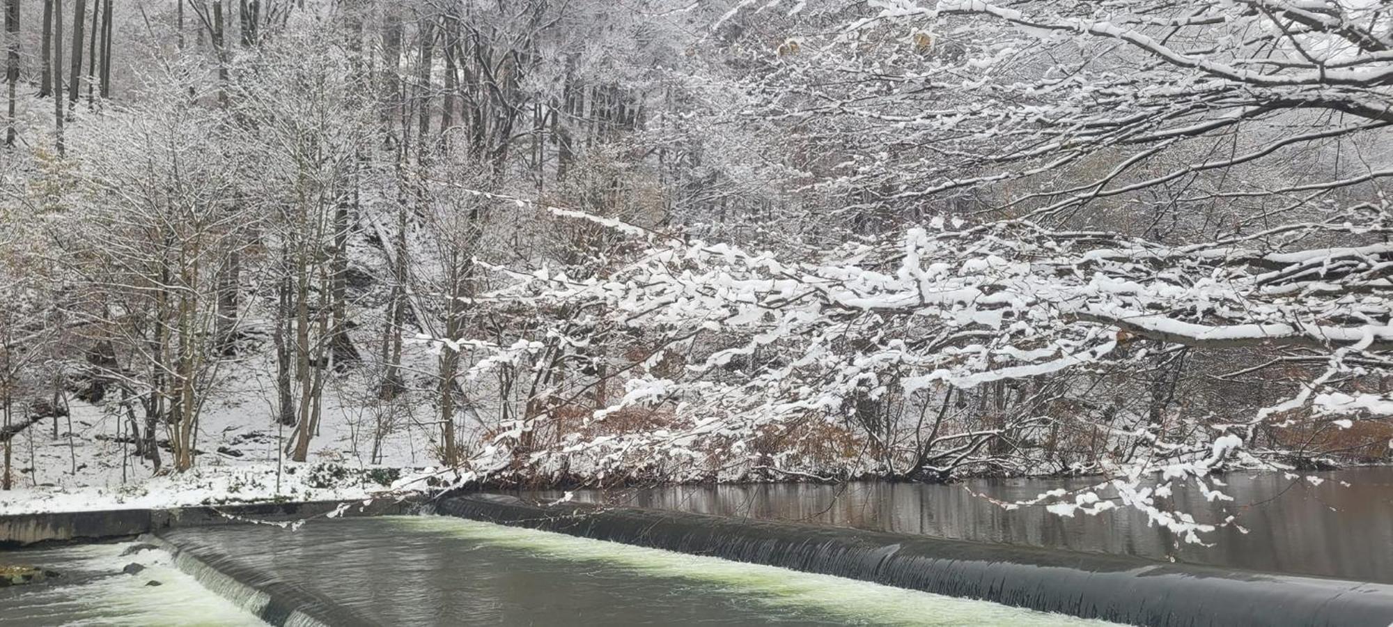 Goscinny Dom Ustron Bagian luar foto
